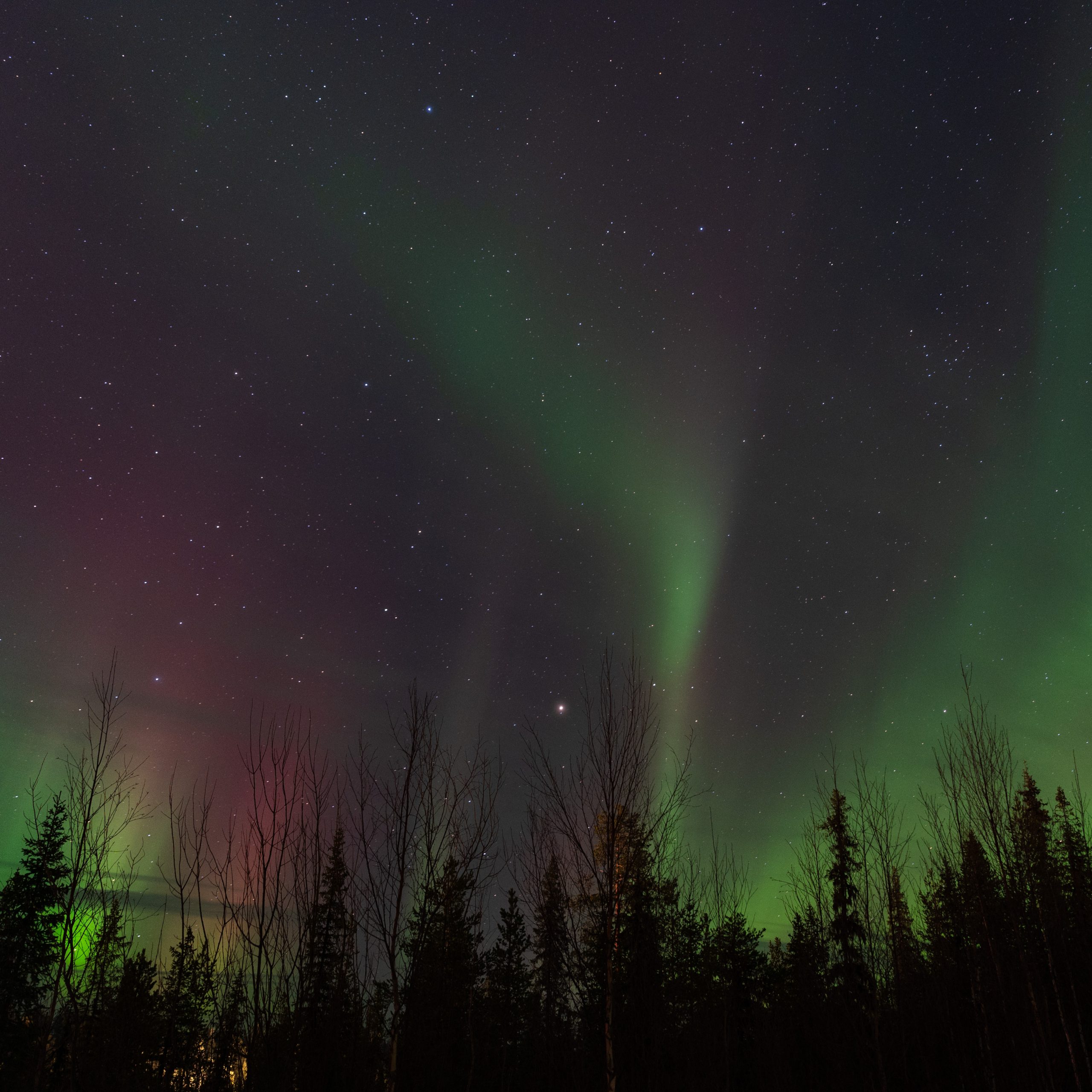 Polarlichter über Esrange bei Kiruna, Schweden