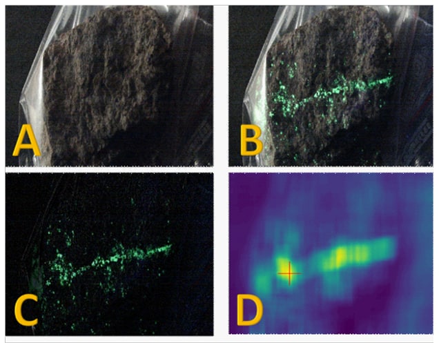 Beispiele Fluoreszenz