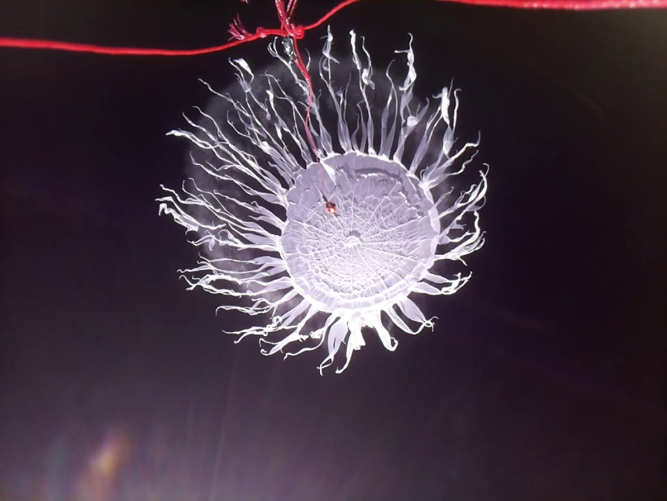 Balloon bursting in the Stratosphere